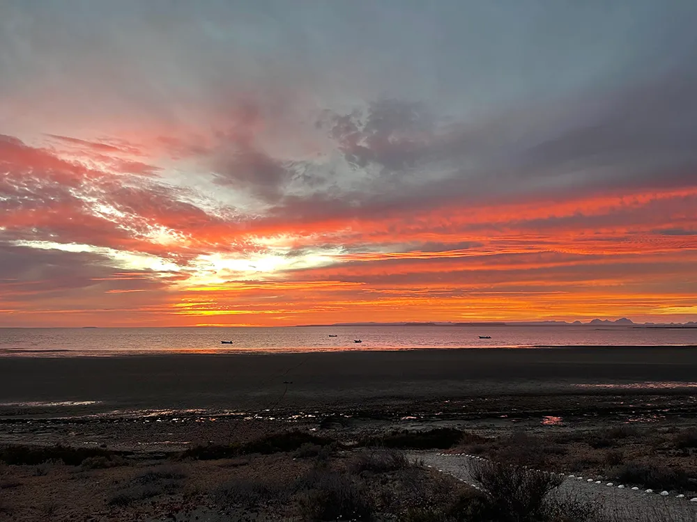 Sunset at San Ignacio Lagoon from Pachico's Eco Tours.