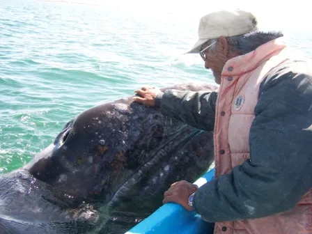 Pachico Mayoral and a whale in Baja California Sur