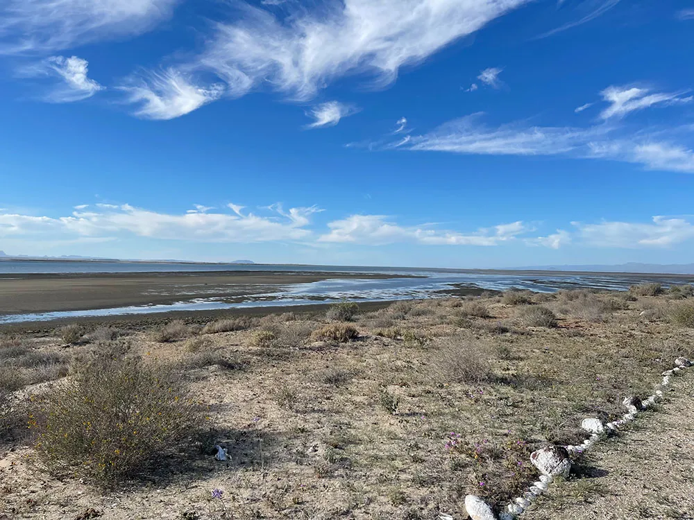 Whispy Clouds over San Ignacio Lagoon from Pachico's Eco Tours